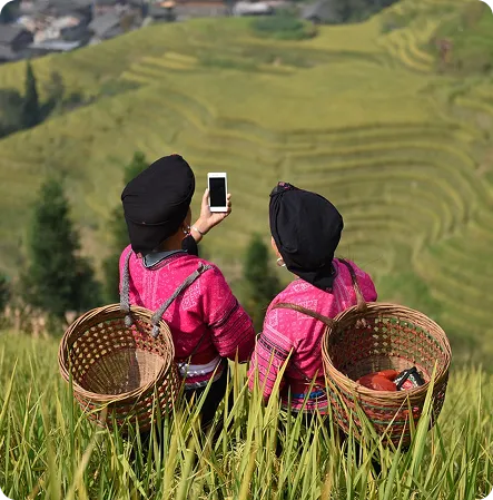 Women in fields with a phone